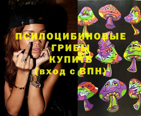 крисы Алексеевка
