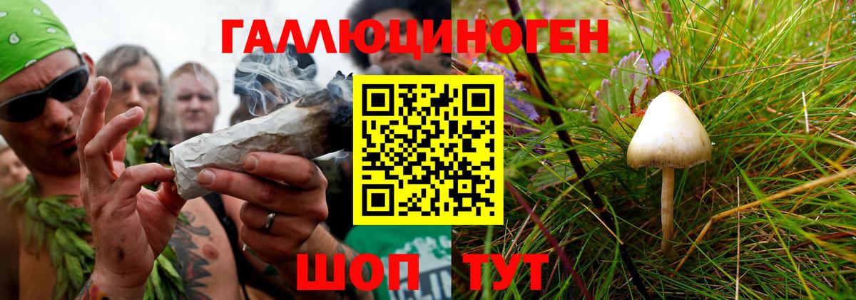 Псилоцибиновые грибы прущие грибы  Псилоцибиновые грибы мухоморы  Вход с VPN  Чебоксары 