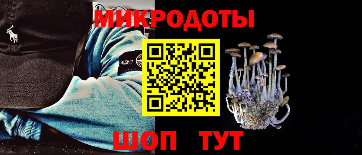 Галлюциногенные грибы прущие грибы Чебоксары